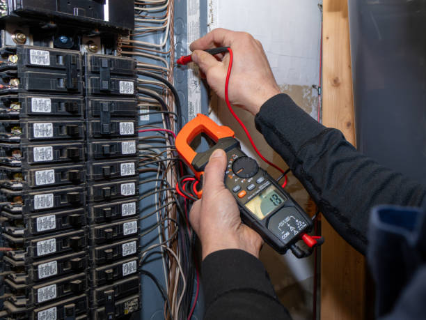 Best Electric Panel Repair  in Carpentersvle, IL